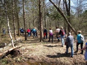 Trails shrinks vs Appalachian Mountain Club